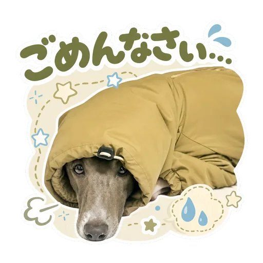 愛犬のLINEスタンプの作例: ごめんなさい…