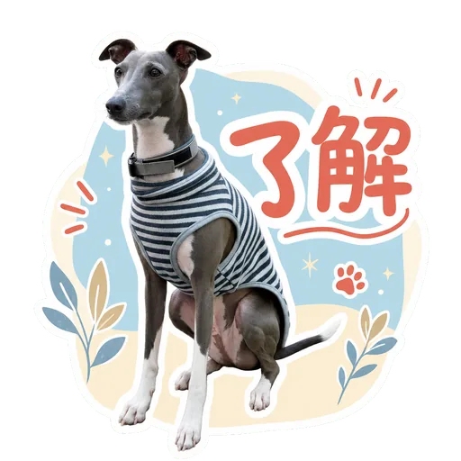 愛犬のLINEスタンプの作例: 了解