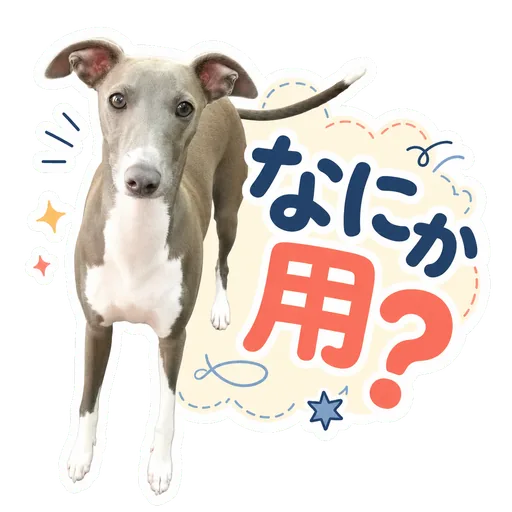 愛犬のLINEスタンプの作例: なにか用?