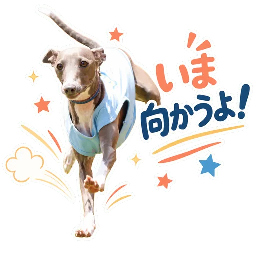 愛犬のLINEスタンプの作例: いま向かうよ!