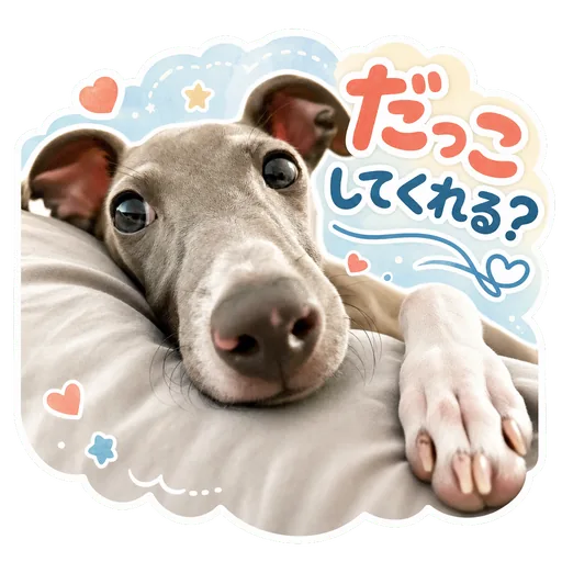 顔をアップで撮った愛犬の写真から作ったLINEスタンプ(完成したスタンプ)
